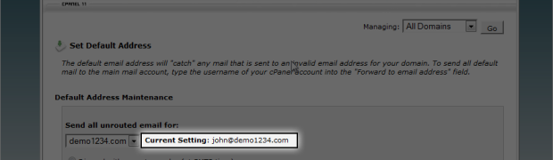How to create a Default Email Address in cPanel?