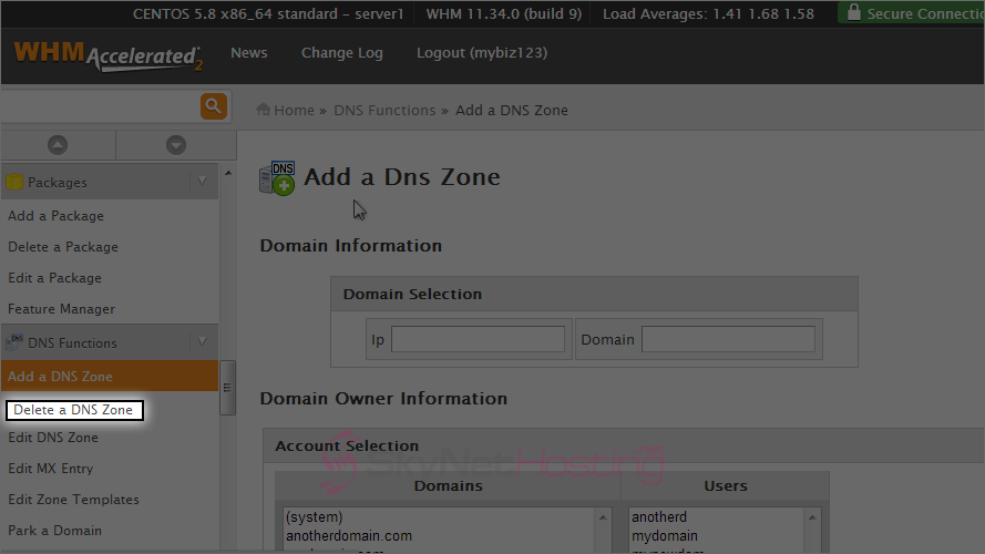 delete-a-DNS-aone