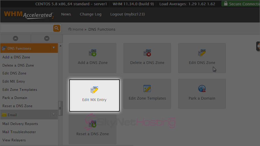 edit-mx-entry