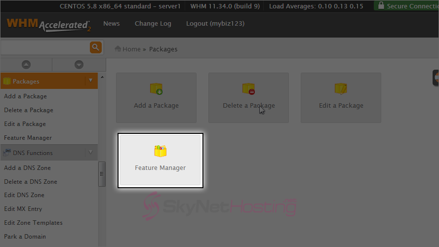 feature-manager