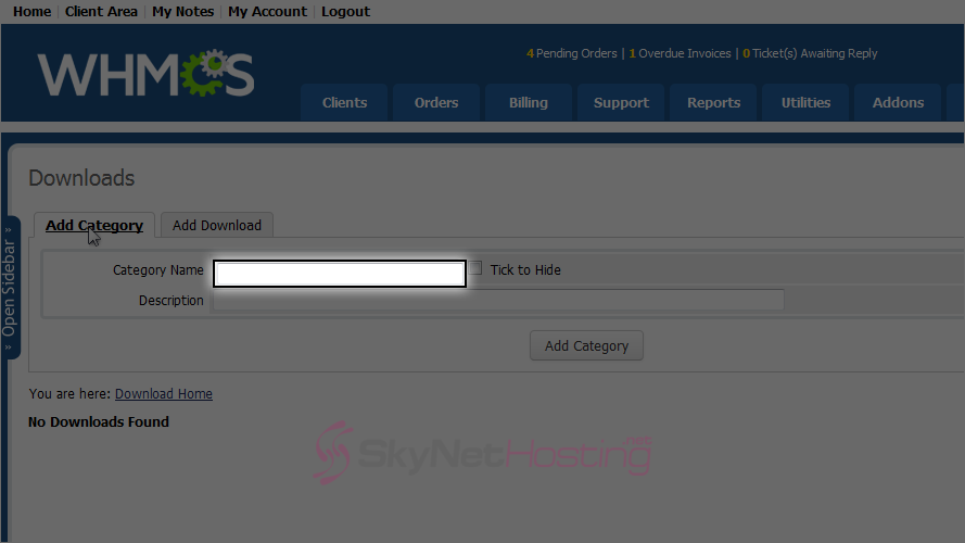 type-in-a-category-name